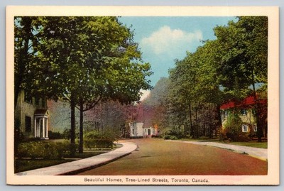 Vintage Toronto Tree-Lined Street Postcard Beautiful Homes Canada