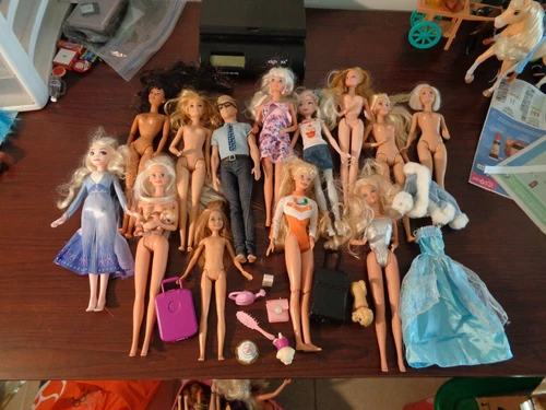 HUGE  Barbie doll  with 14 dolls and  accessories. Includes Ken and a baby