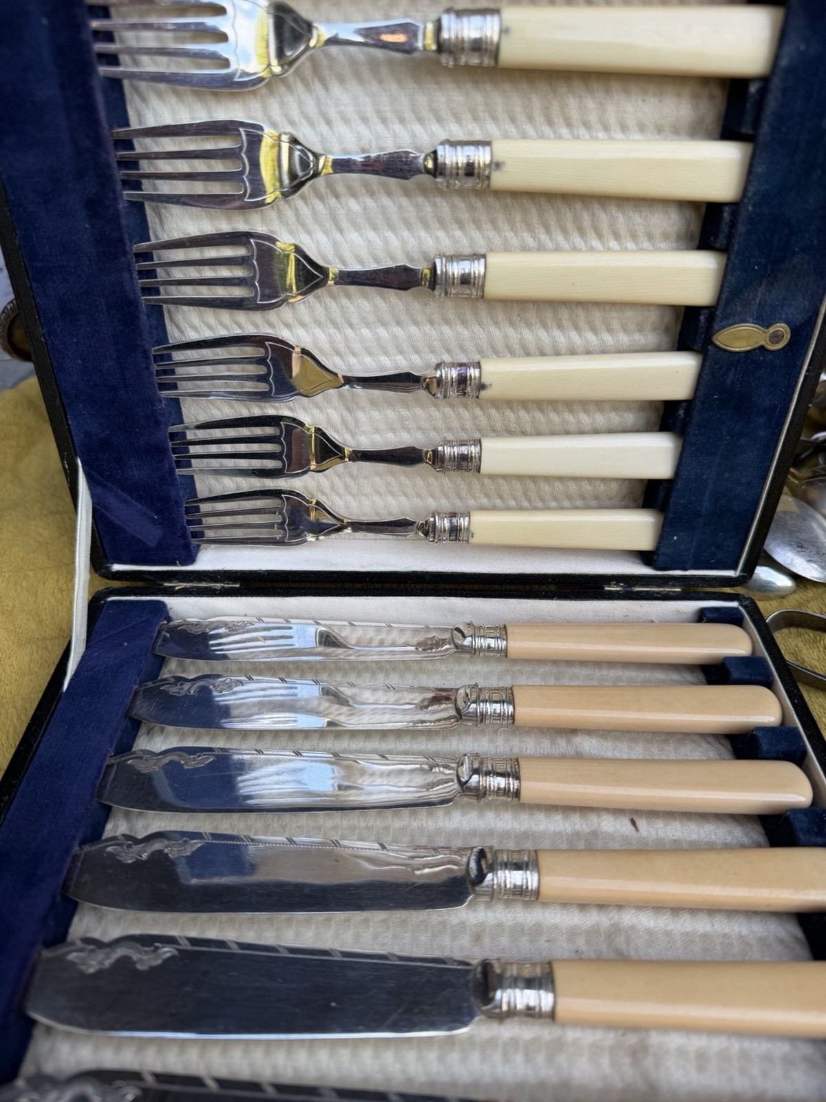 Silver Plate Boxed Cutlery Set with Faux Ivory Handles, Knives & Forks