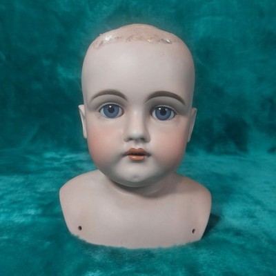Kestner Bisque Head Only 1915 Era