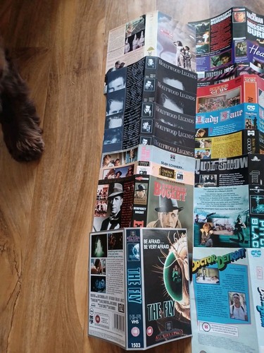 50 VHS Film Video Sleeves Original Video sleeves 80s & 90s EXCELLENT CONDITION - Foto 2 di 6