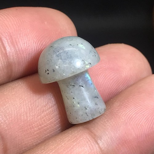 10pcs natural labradorite Mushroom Quartz Crystal Reiki healing gem - Picture 9 of 9