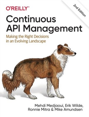 Continuous API Management by Erik Wilde PAPERBACK 9781098103521
