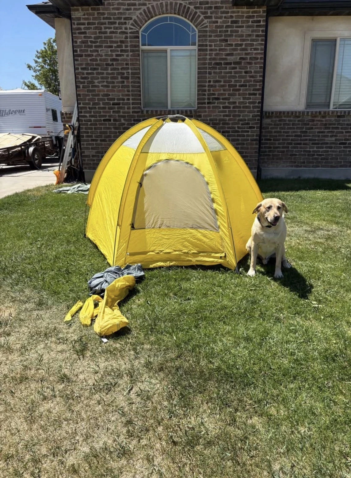 Tent: Greatland Camping, Bright yellow dome-style camping tent. Size: 2-3p, fly