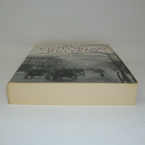 A Brief History of Life in Victorian Britain Michael Paterson - Picture 5 of 9