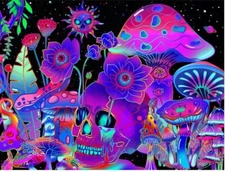 Trippy Wall Hanging Tapestry Psychedelic Room Decor Mushroom Colorful 6 1/2 FEET