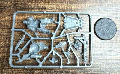 Lord of Blights Nurgle Rotbringers Chaos Warhammer Age of Sigmar NIB Blister
