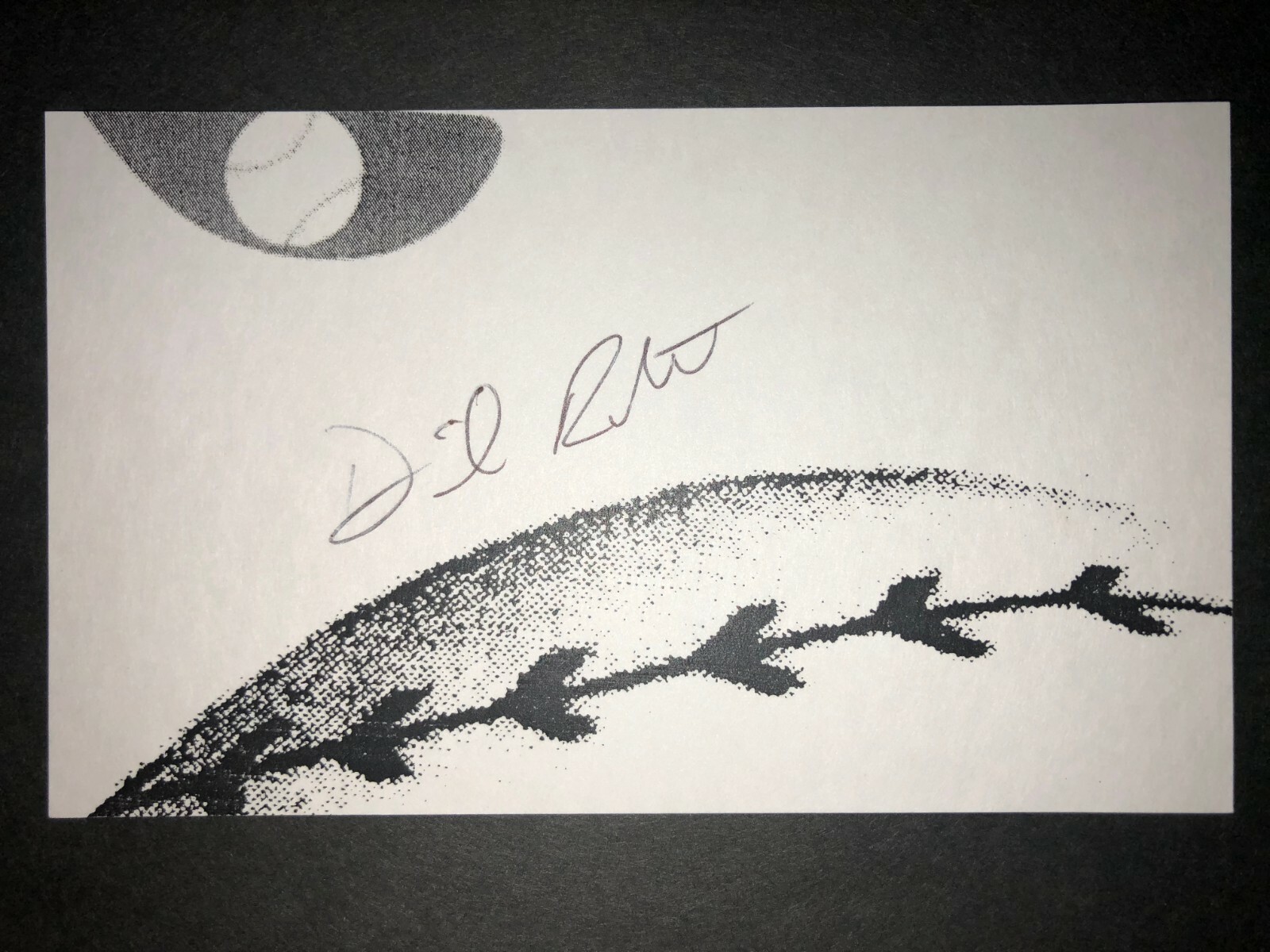 Picture 1 of 1