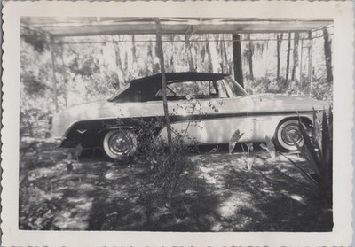 1950s Chrysler Car in the Shade Gorgeous Classic Automobile VINTAGE PHOTO