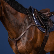 Dyon Anatomic Breastplate 3 Point Long Bridge Brown Gold Cob