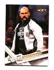 Scott Dawson 2017 Topps WWE 84