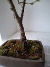 Picture 4 of 6