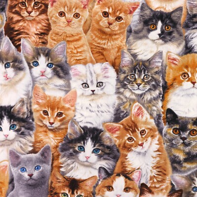 100% Baumwollstoff - Realistische Katzen - Elizabeth's Studio, Tiere Kätzchen