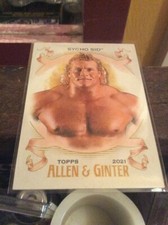 2021 Topps WWE Heritage Allen & Ginter Sycho Sid 