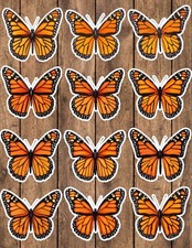 Monarch Butterfly Die Cut Vinyl Stickers Scrapbooking Laptop Waterbottle