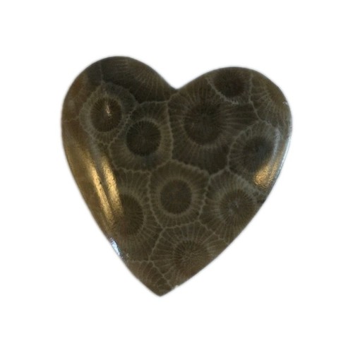 Petoskey Stone Heart Polished Fossilized Coral Michigan Stone Brooch Love Gift - Picture 3 of 12