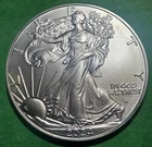 2024 W American Silver Eagle Bullion, 1oz, Brilliant UNC (MS) + FREE SHIPING