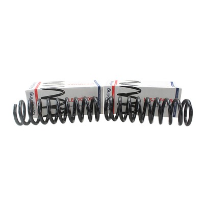 Lesjofors Front Coil Spring Set 4112138