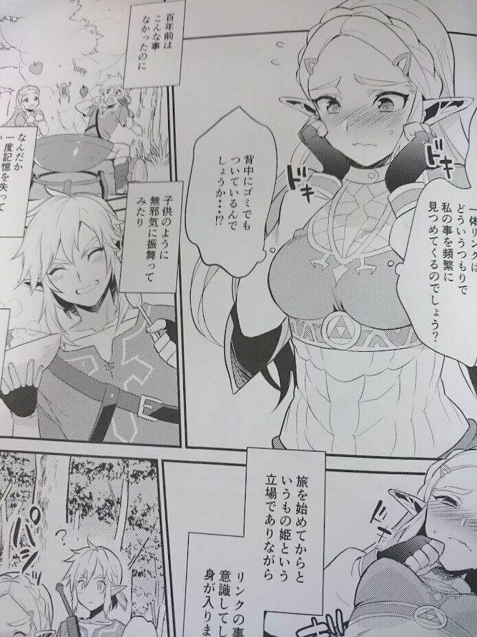 The Legend of Zelda Doujinshi Mob x Link , Zelda x Link (B5 86pages)  morittokoke