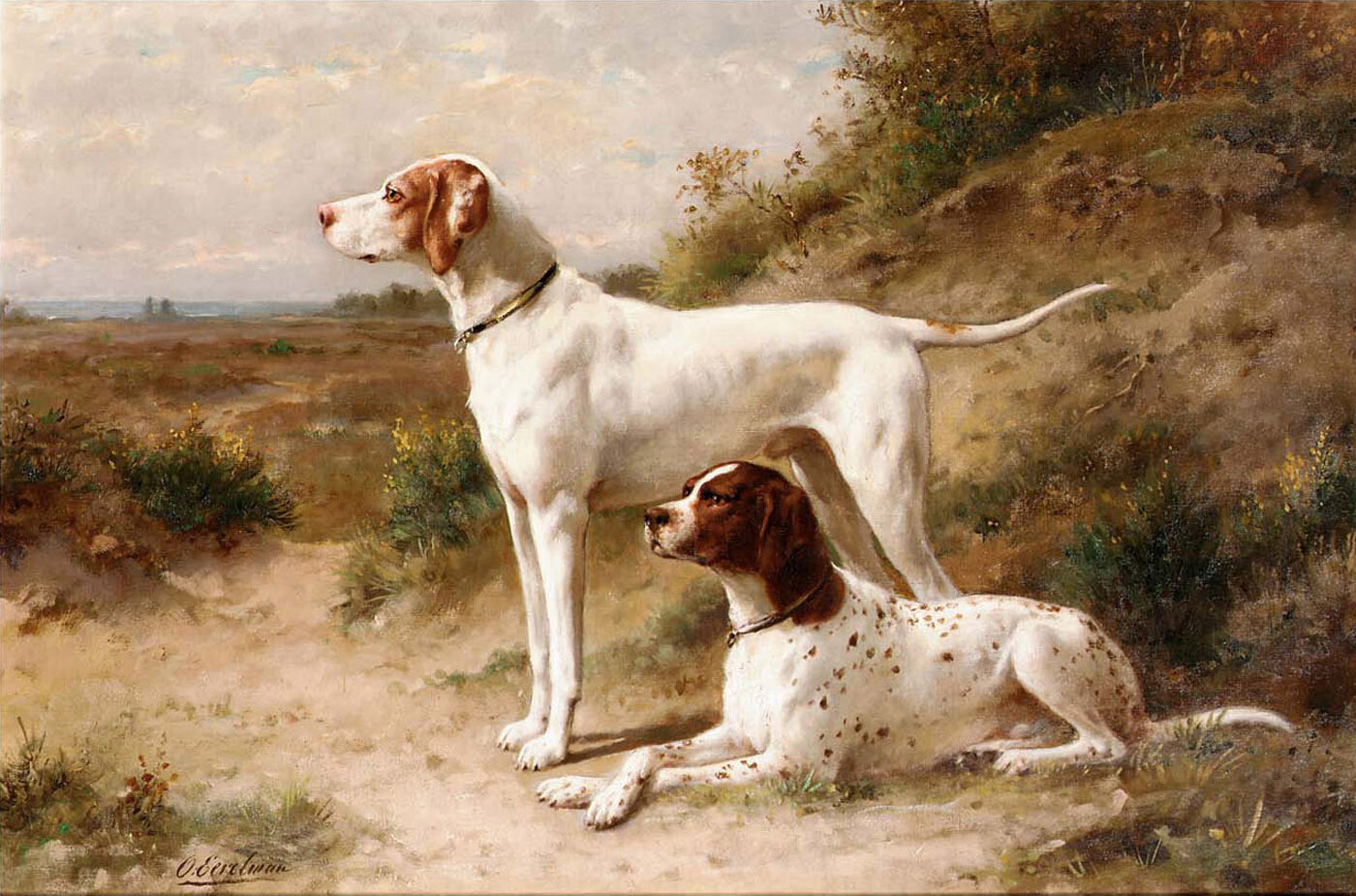 Otto Eerelman 