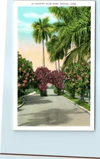 Postcard - In Country Club Park - Havana, Cuba
