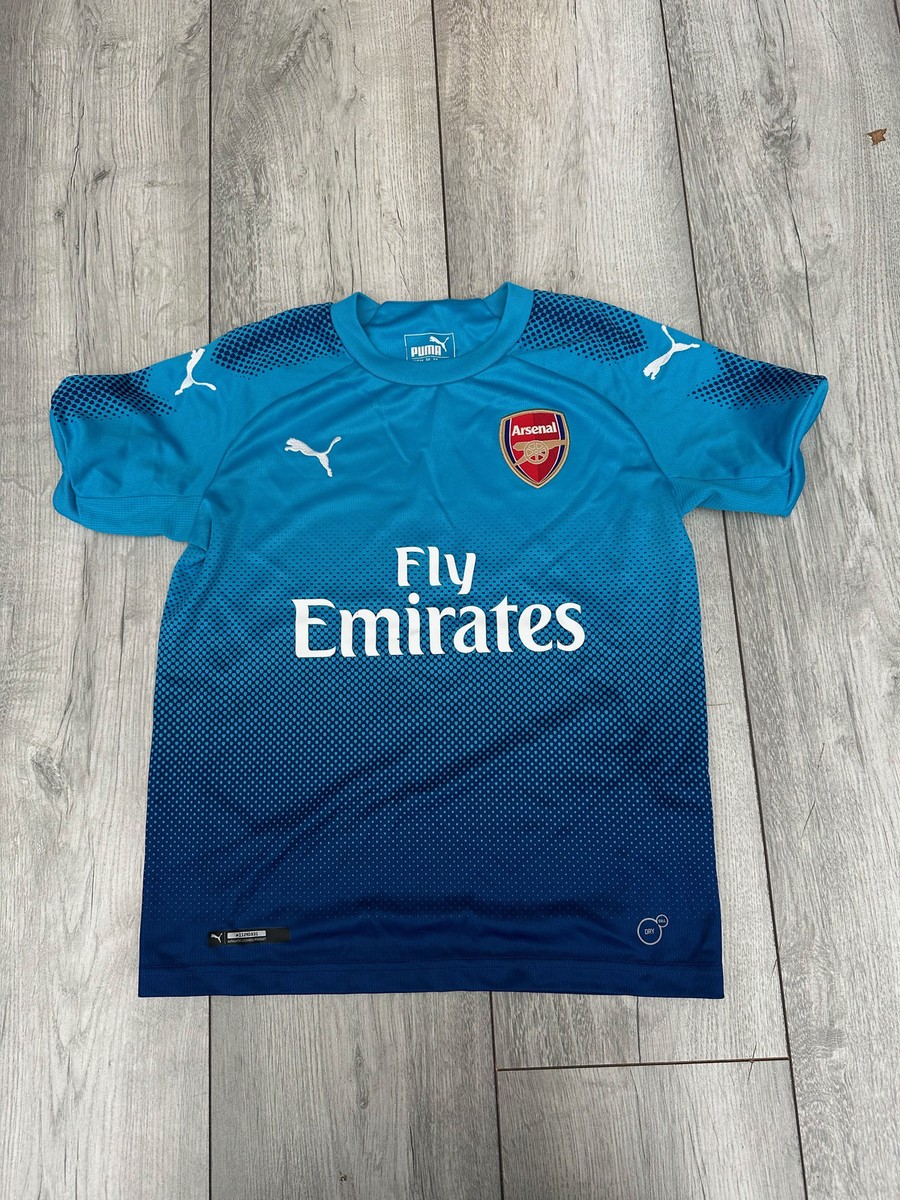 Puma Arsenal Away Kit 2018 Arsenal Jersey 2018 2019 Away S Shirt