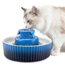 Ceramic Cat Water Fountain, 2.1L/71oz Cupcake Pet Fountain, Porcelain Cat