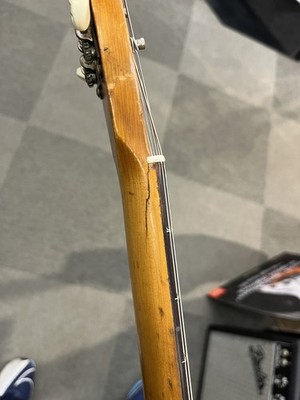 Danelectro 1963 5025 Standard Electric Guitar Jacaranda Fingerboard Used