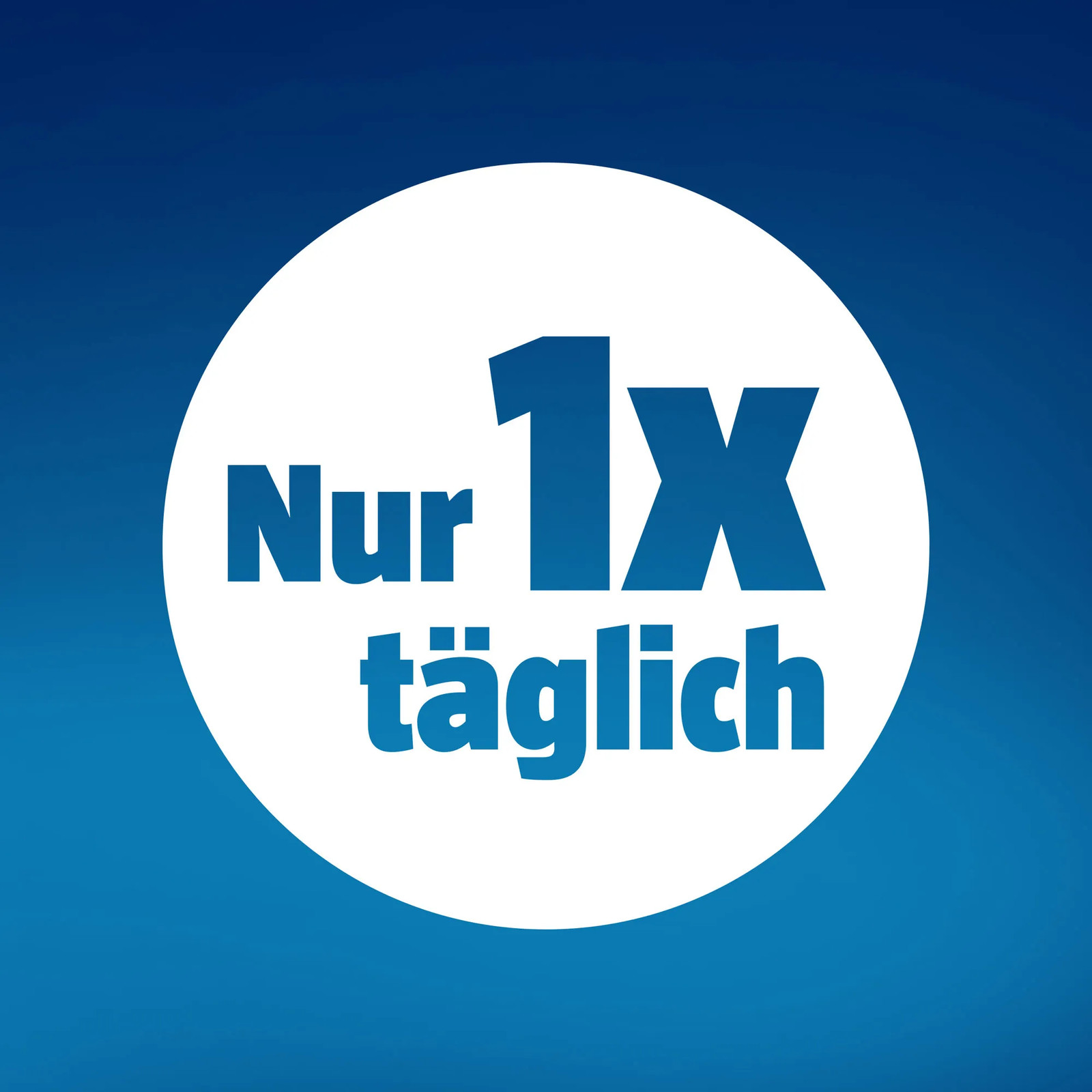 Bild 8 von 13