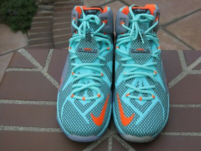 Nike Lebron XII Men's Basketball Sneakers 684593-301 | eBay