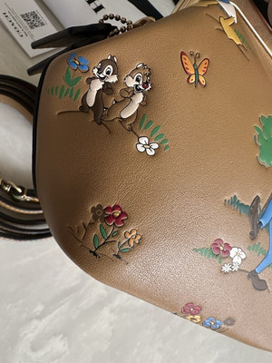 NWT DISNEY X COACH LTD MICKEY & MINNE MOUSE & FRIENDS LEATHER