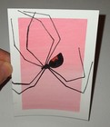 ACEO Original spider Acrylic painting.