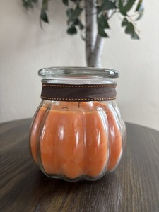 PartyLite Pumpkin Apple Cider Pumpkin-Shaped 2-Wick Jar Candle 17.6 oz