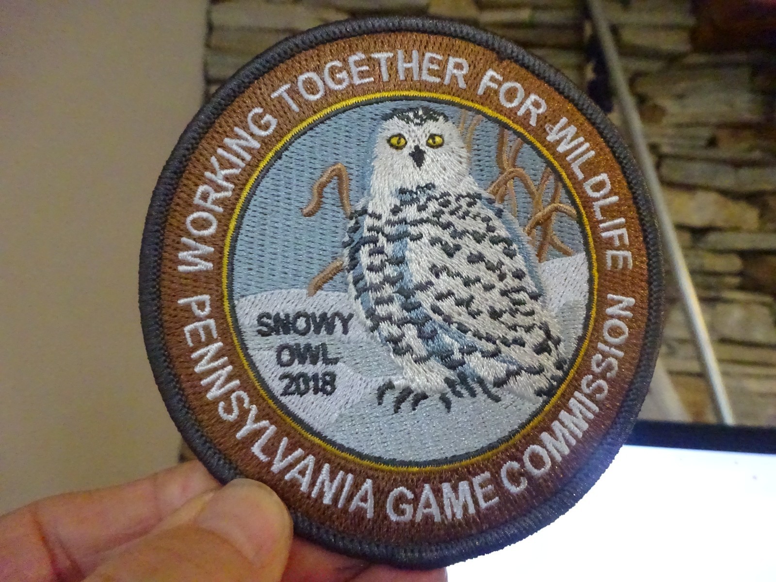 Picture 5 of 6