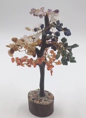 Bonsai Tree Meaning Symbolism Benefits And Good Luck