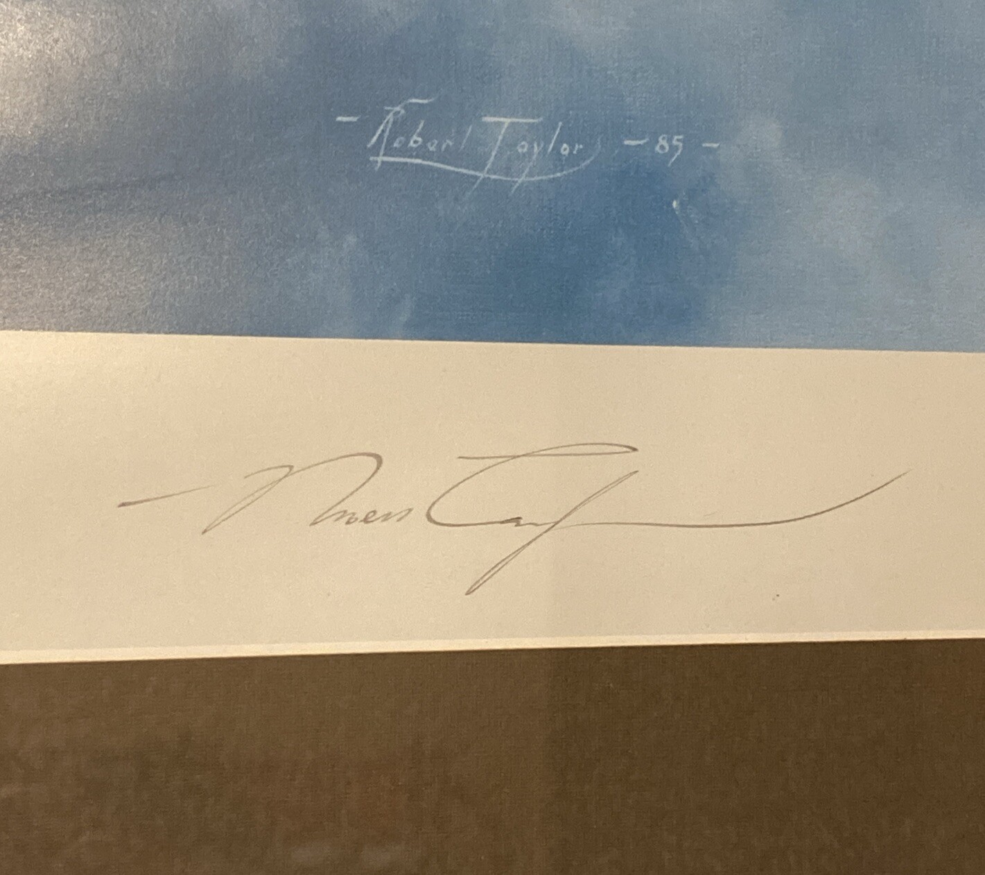 Robert Taylor Print Head On Attack Battle Of Britain Aces Collection Certified.