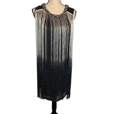 Eden Dress Womens Small Chain Neck Swing Fringe Gatsby Flapper Black Silver