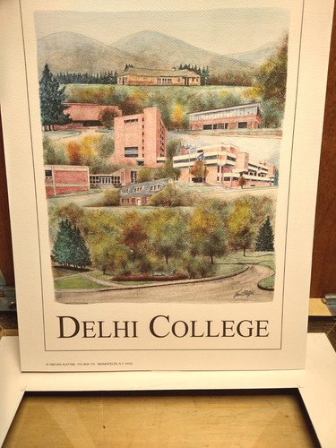 NEW W/ Box 1999 UNIVERSITY DELHI NY Mountable LARRY VAN ALSTYNE Framing Success - Picture 12 of 17