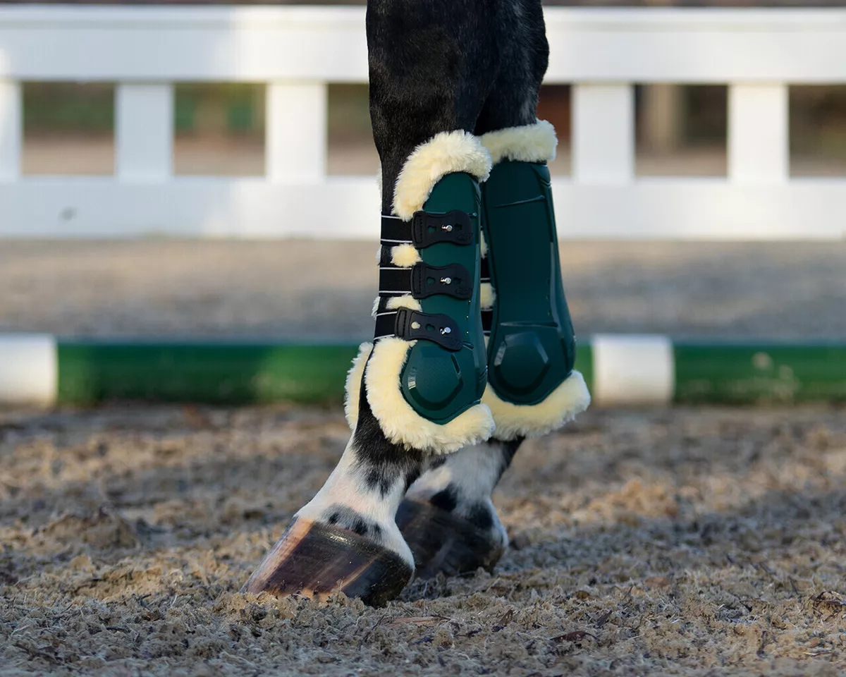 Horse boots clearance ebay