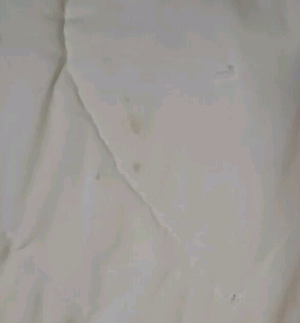 Picture 6 of 13