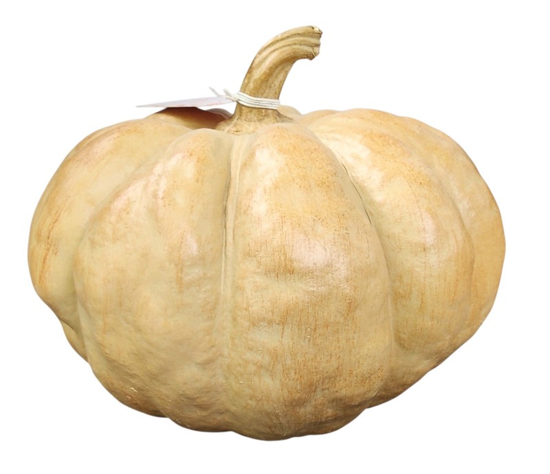 New The Farmhouse By Rachel Ashwell  8" Resin Pumpkin . Home Decor 3x