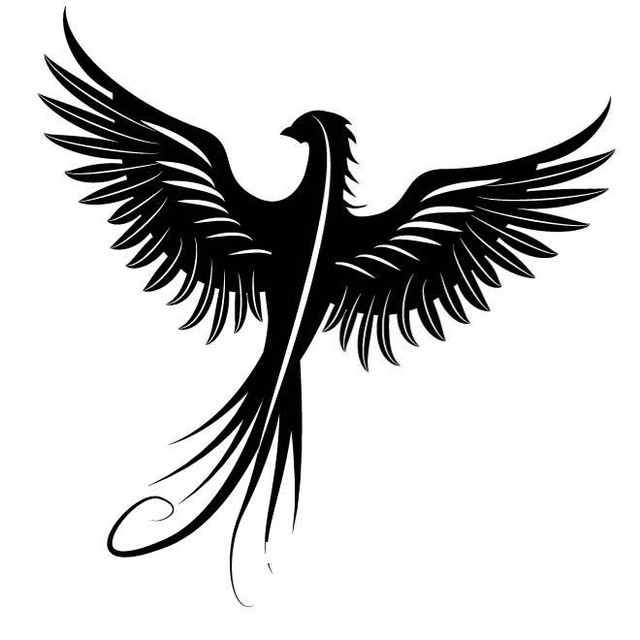 phoenix bird flying car decal sticker ebay phoenix bird