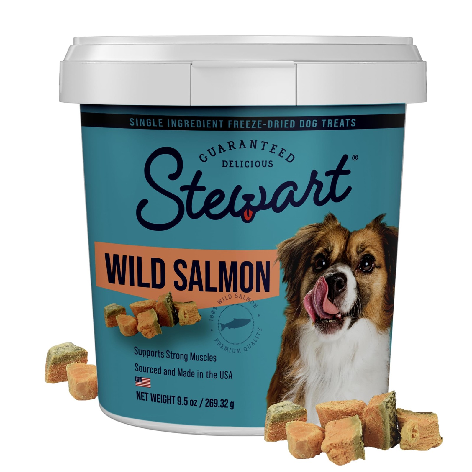 Stewart 100% Wild Salmon Dog Treats, 9.5 oz Tub, ~190 Pieces, Freeze Dried Ra...