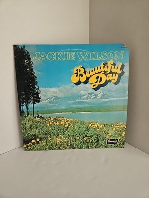 VINTAGE VINYL JACKIE WILSON BEAUTIFUL DAY LP 1973 BRUNSWICK RECORDS