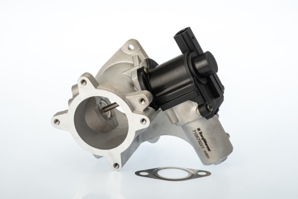 AGR Ventil Borgwarner (Wahler) 710575D FüR VW Transporter T5 7JD 7JE 7JL 7JY 7JZ-image