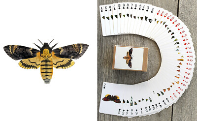 Card Mount Insect Playing Cards (Poker Deck 54 Cards) MYSTIC MOTHS Nighttime Insect ...