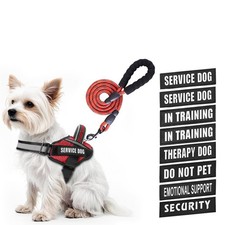 Dog Vest Harness and Leash Set, in Training Dog Harness with 10 Dog Patches, ...