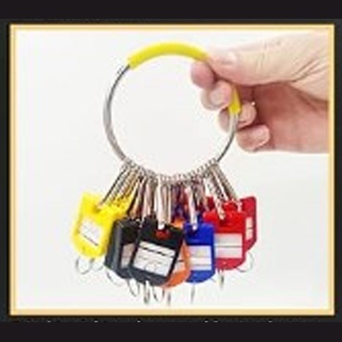 GE Key Organizer Iron Plastic Portable 8.2cm Mit 30 Bunten Schlüsselanhänger Key - Bild 14 von 23