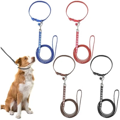 FANTESI 4 Stück Welpenhalsbänder mit Leine Set Hundehalsband und Leine V