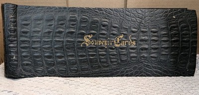Vintage Embossed Faux Alligator Souvenir Postcard Album 68 Pages 15'' Long